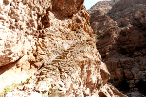 wadi Shab ausgesetzte Treppe